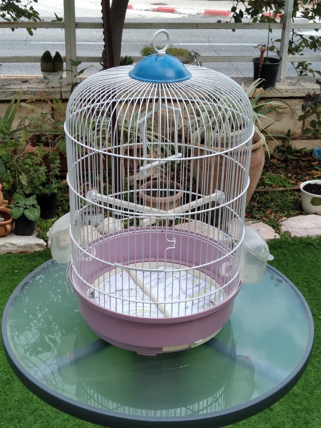 כלובים שמורים היטב בגדלים שונים
