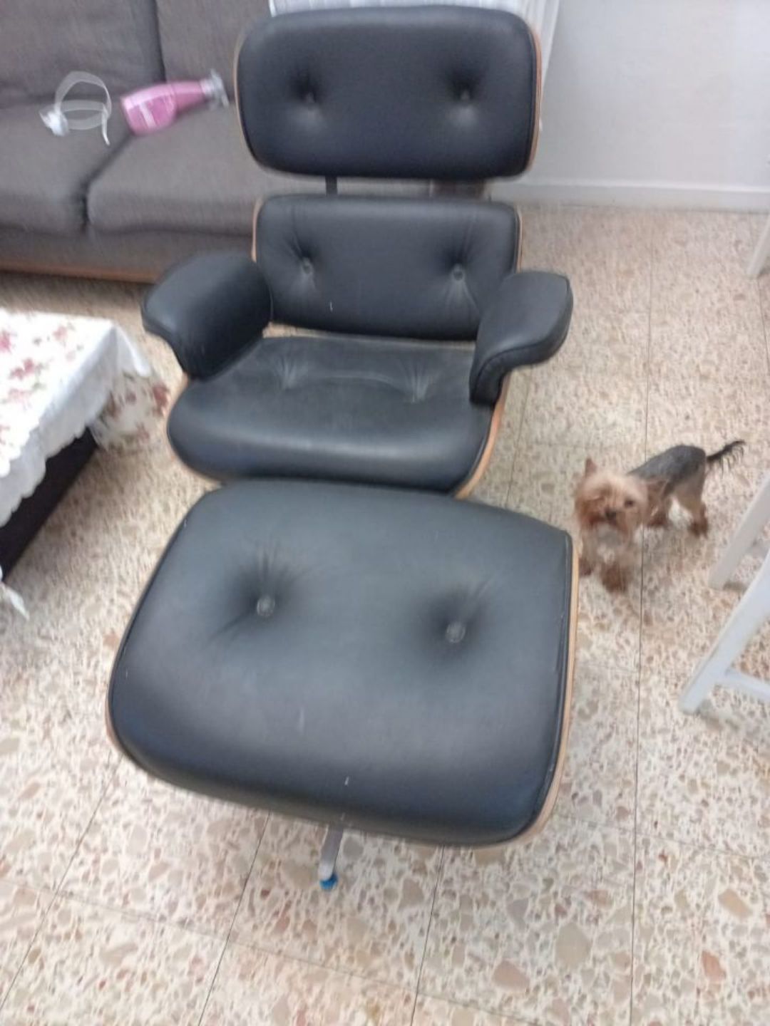 כורסא איימס מעור