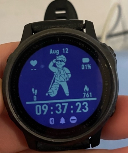 שעון Garmin fenix 6s במצב חדש, שומש פעמים בודדות בלבד