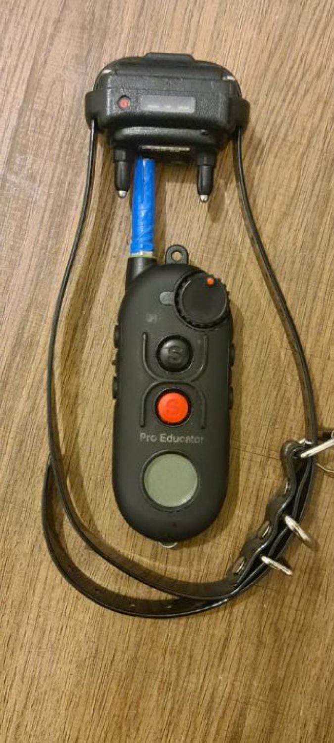 קולר אלקטרוני - e-collar 900 pro educator