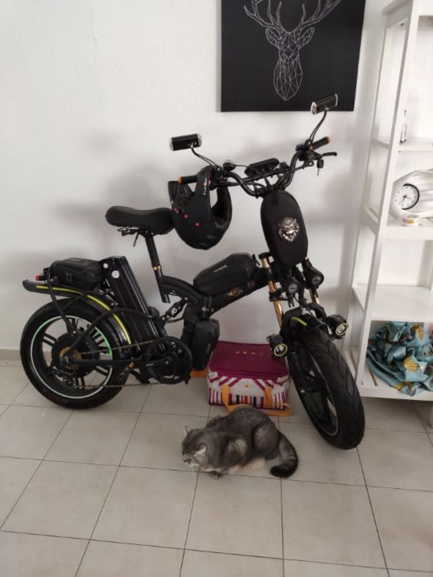 החתול לא למכירה =) עברו טיוניג, היו בשימוש פחות מ3 חודשים מהירות מירבית כ81 קמ" בנסיעה, 9…