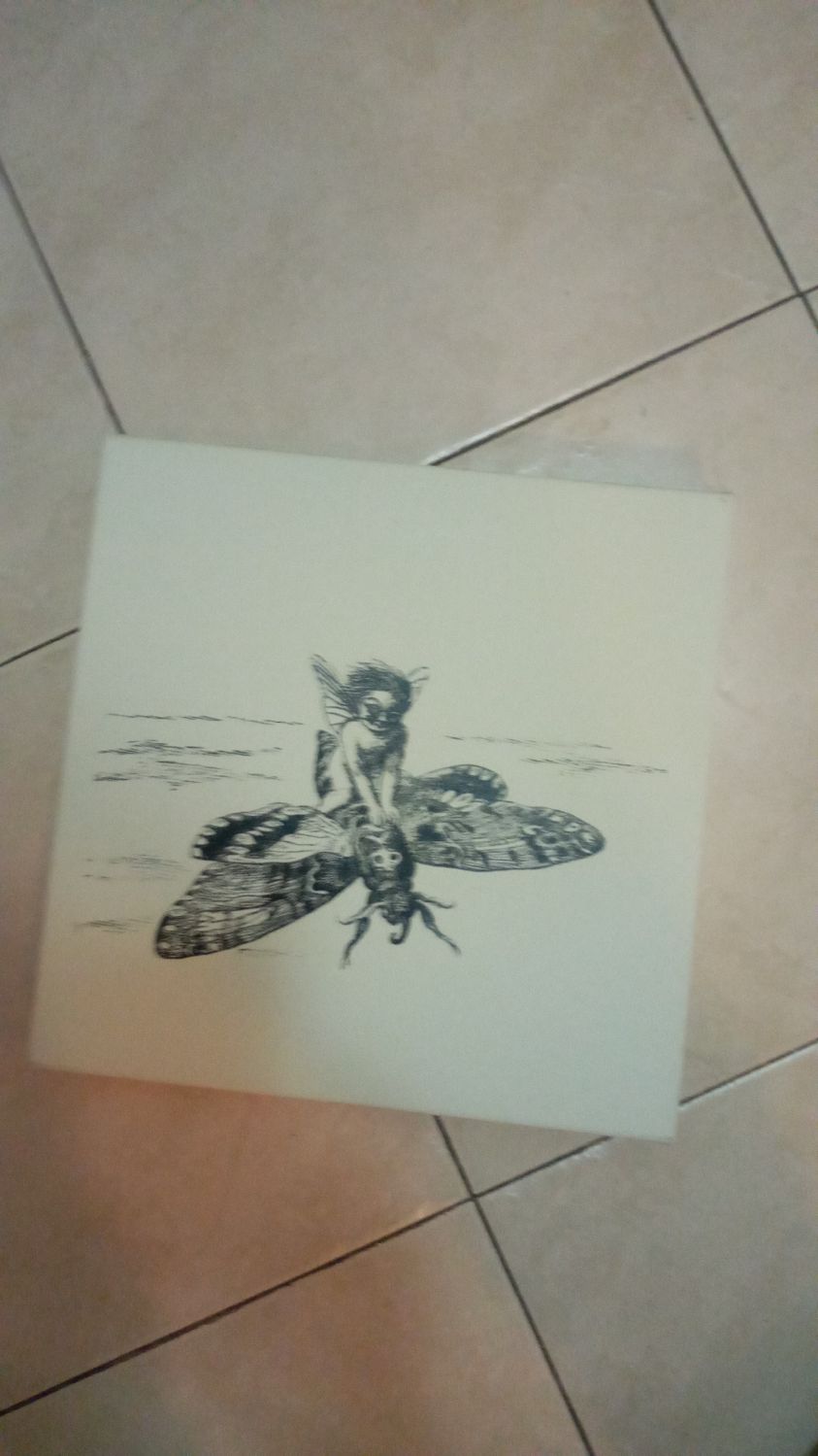 הדפס שדון מעופף