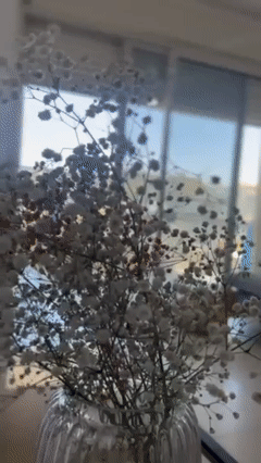 למכירה דירה 4 חדרים בגבעת אורנים בעיר מעלות