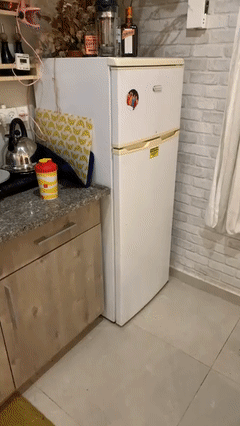 מקרר של אלקטרה