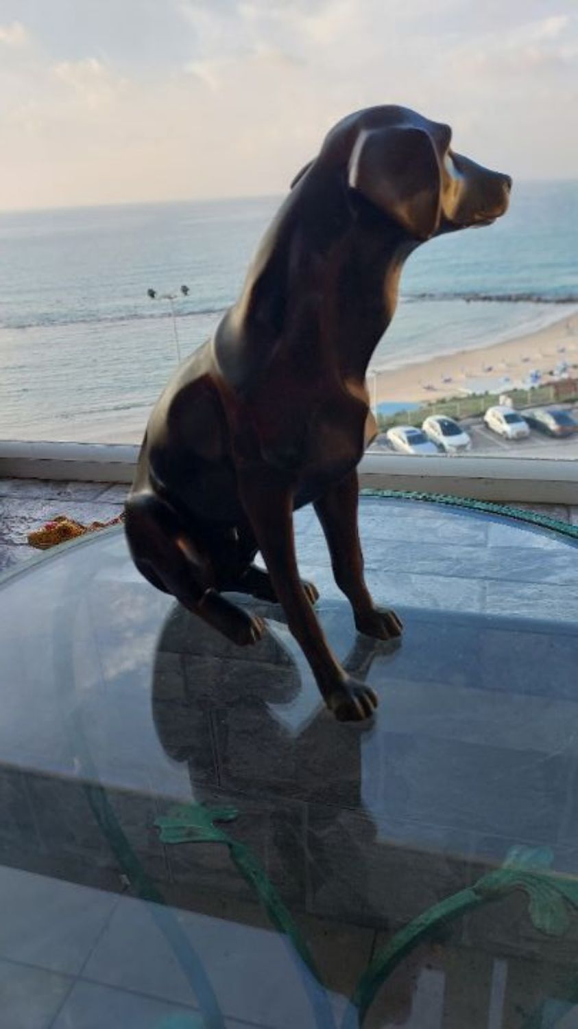 פסל של כלב חמוד מאוד
