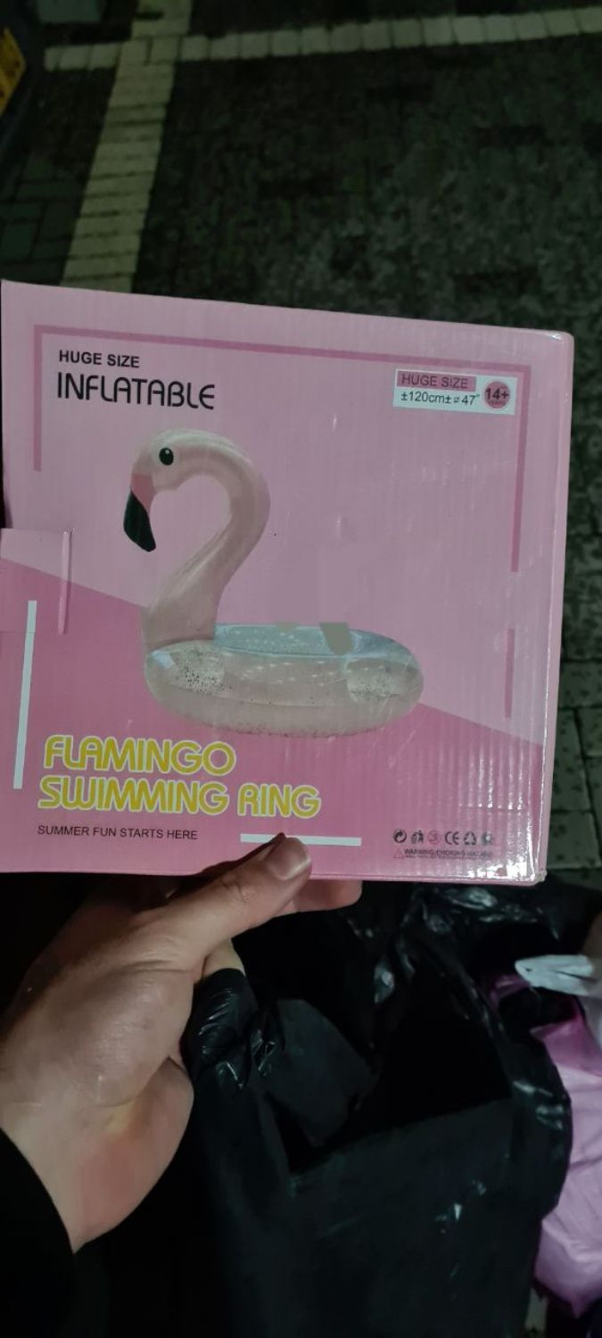 גלגל ים ברבור למסיבת רווקות נקנה ב100