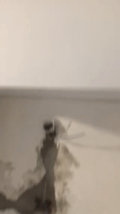 צהלית אדרי רונן ערב טוב לכולם, יש נגר שמתמחה בפירוט מטבחים, חדרי שינה, קונסיירז' עצים, מח…