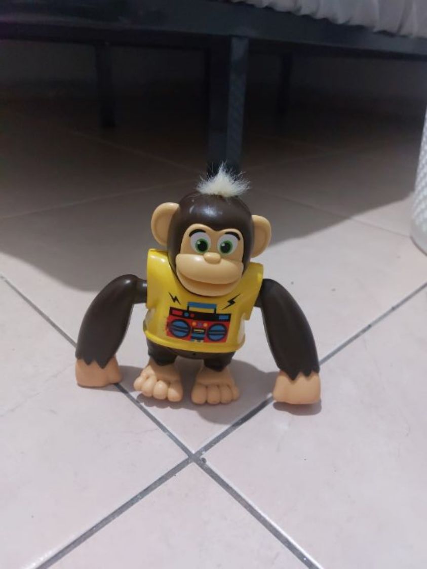 קופיף זז ומדבר
