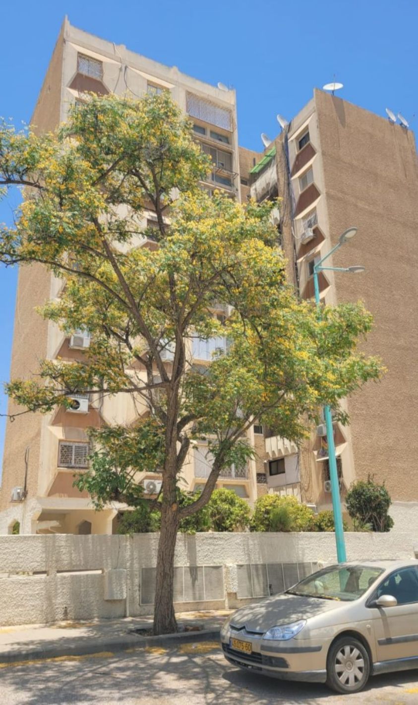apartment — apartment