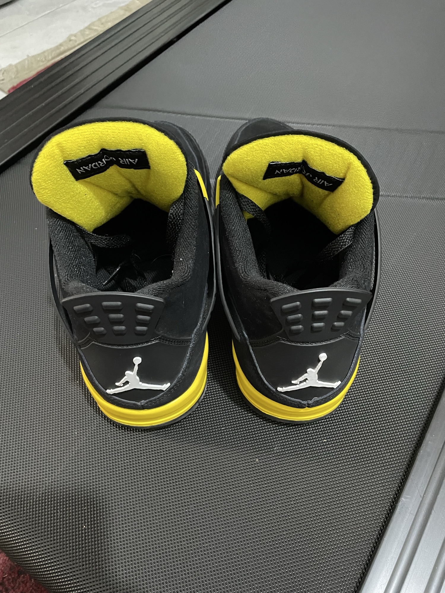 jordan 4 thunder (2023)