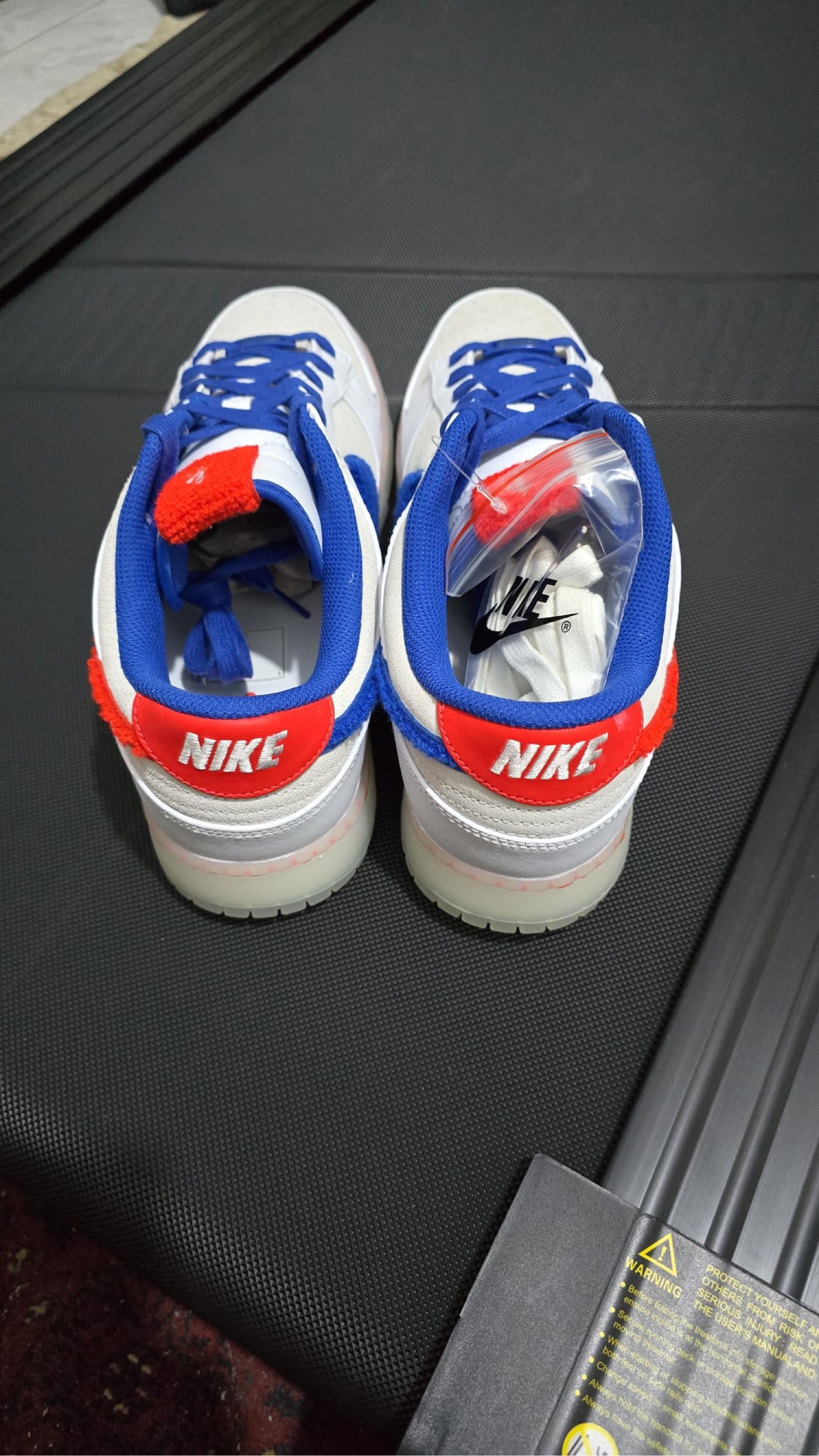 Nike dunk low Year of the rabbit (2023)