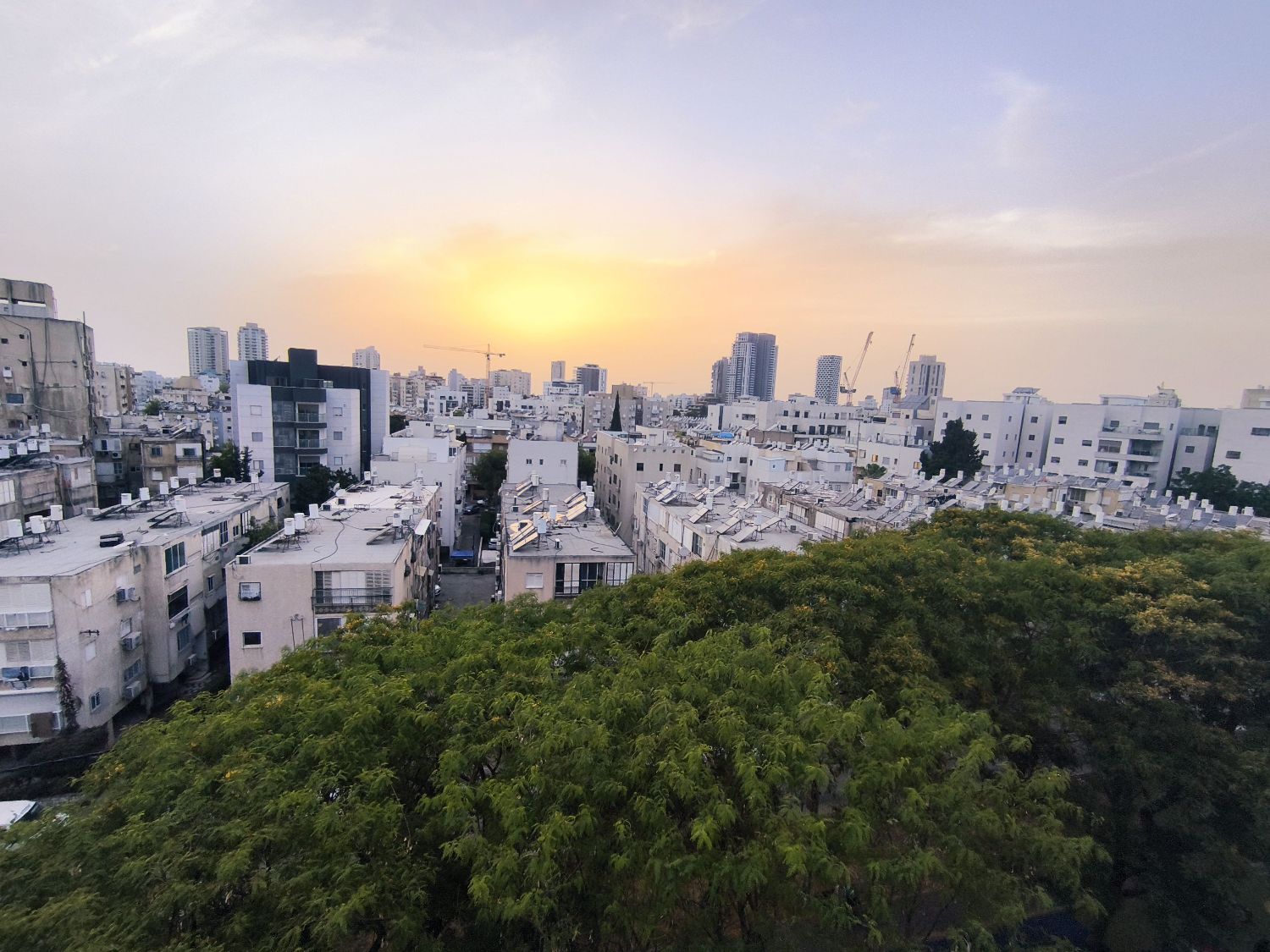 בלעדיות חדשה
